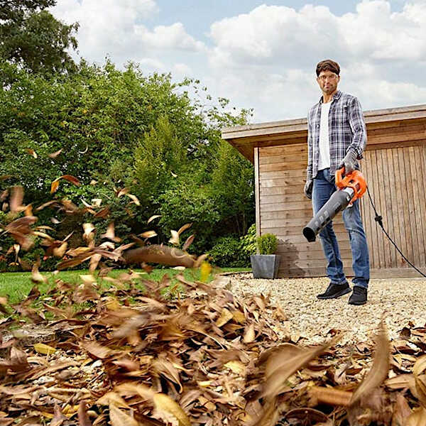 Black & Decker BEBLV290